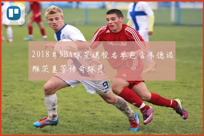 2018年NBA球星退役名单包含韦德诺维茨基等传奇球员