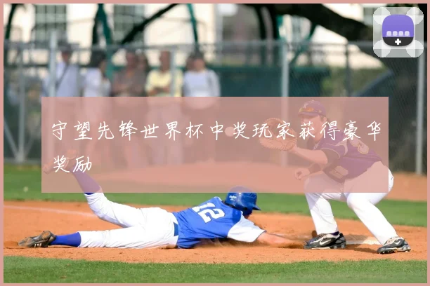 守望先锋世界杯中奖玩家获得豪华奖励