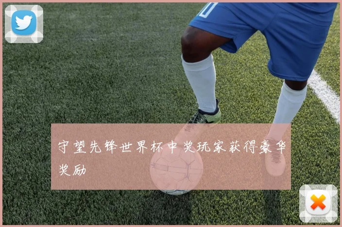 守望先锋世界杯中奖玩家获得豪华奖励